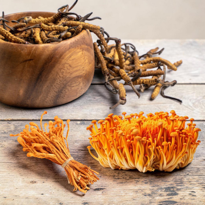 houba Cordyceps - housenice čínská