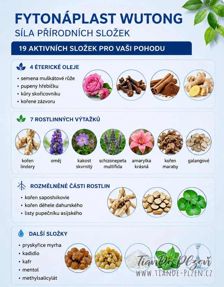 Kosmetická fytonáplast Wutong, 5ks  (4,5b)